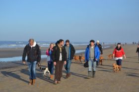 Vizsla 06-01-2013 029.jpg