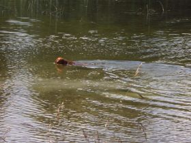 zomervakantie 2006 095.jpg