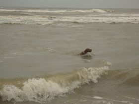 langervelder slag strand 017.jpg