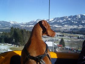 wintervakantie 2008 134.jpg