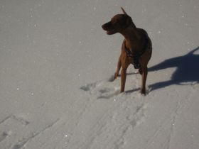 wintervakantie 2008 163.jpg