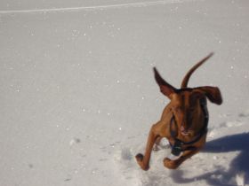 wintervakantie 2008 168.jpg