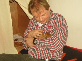 2 de serie pups 015.jpg