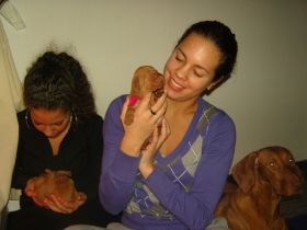 2 de serie pups 124.jpg