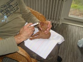 2 de serie pups 140.jpg