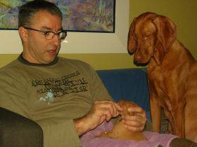 2 de serie pups 155.jpg