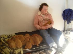 serie 4 pups 037.jpg