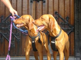 Beelden & Den Haag 2009 305.jpg