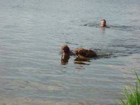 zwemmen in de wijde AA 007.jpg