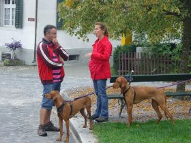 nakomelingendag 2009 vak zwarte woud 2009 139.jpg