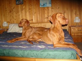 Oberstdorf winter 2010 088.jpg