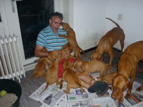 Kettö Mo  2010 113.jpg